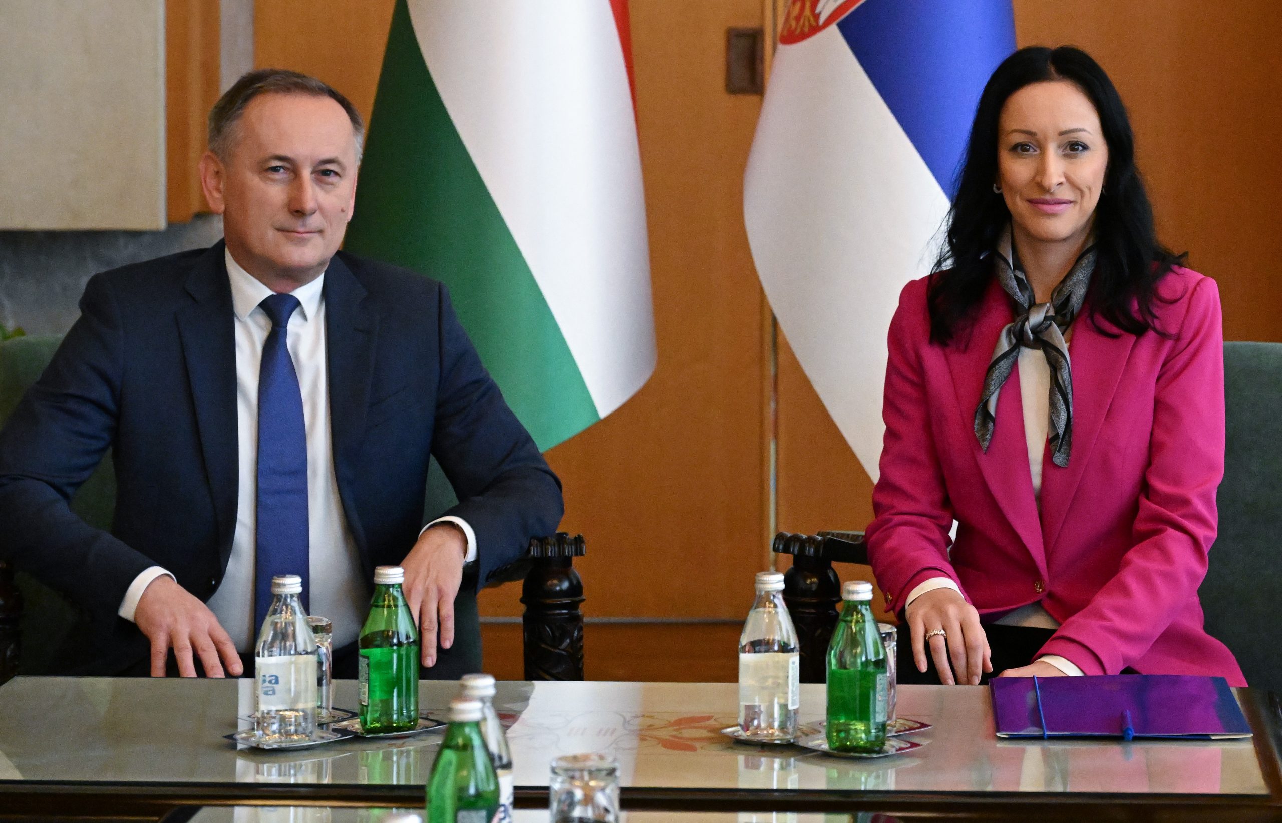 Beograd, 14. novembra 2025.-  Ministar za brigu o porodici i demografiju  Jelena ariæ Kovaèeviæ sastala se sa ambasadorom Maðarske u Beogradu Joefom Maðarom. FOTO TANJUG/ RADE PRELIÆ/bs