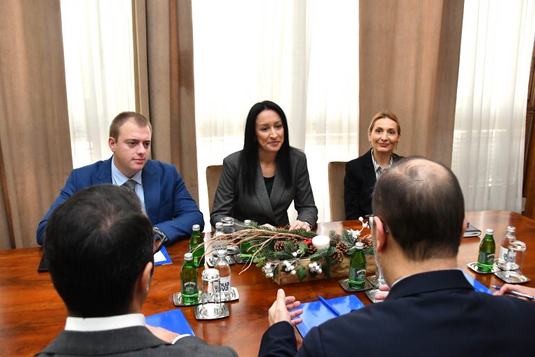 JELENA ARIC KOVACEVIC, MOHAMAD SADEK FAZLI