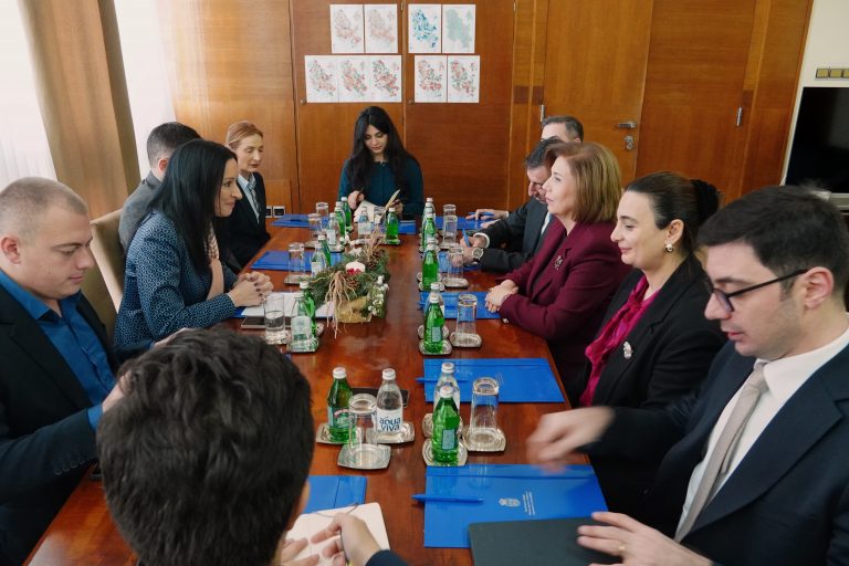 JELENA ARIC KOVACEVIC, BAHAR MURADOVA