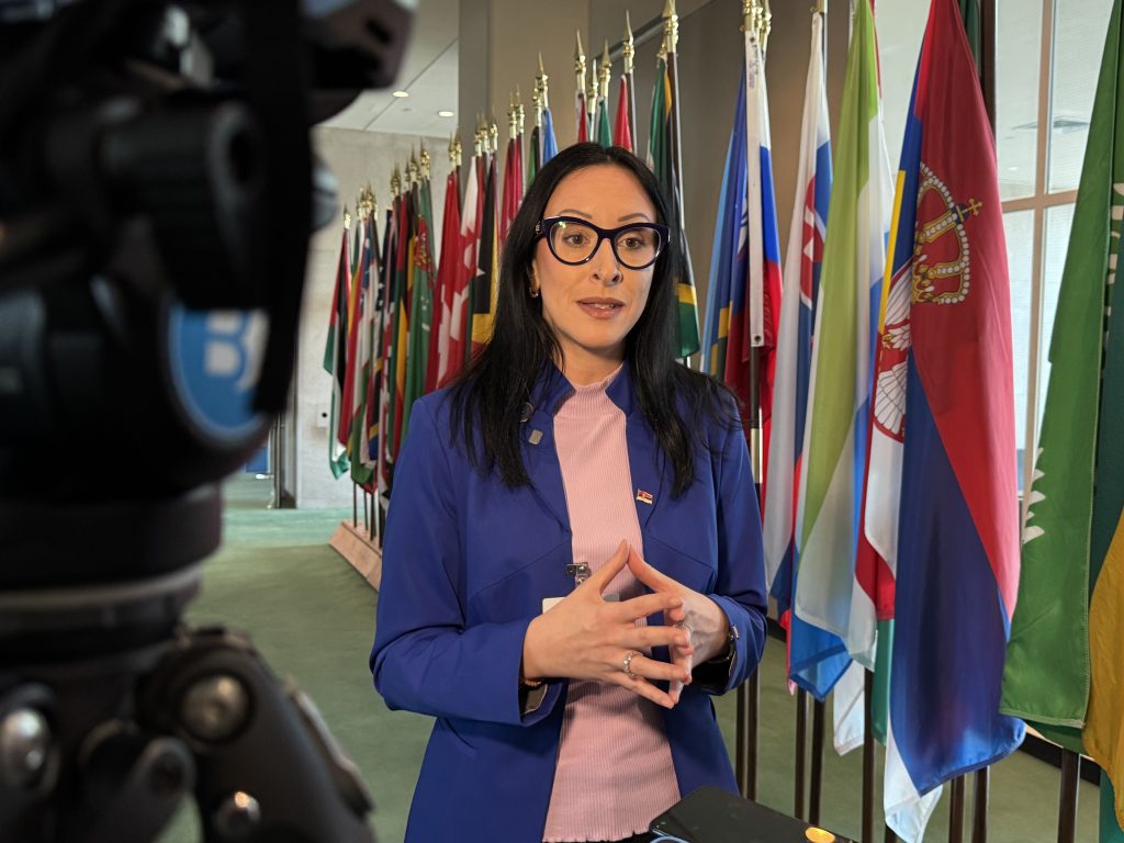 Жарић Ковачевић у УН о подршци породицама и демографској политици Србије